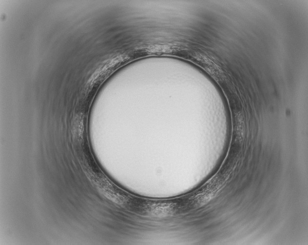 X0000060270495200511181423