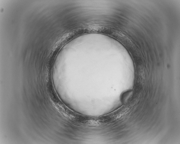 X0000060270496200511181423