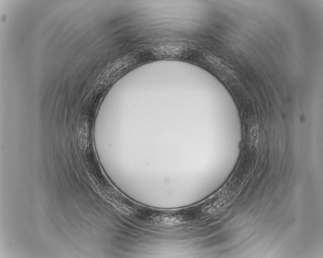 X0000060270498200511181423