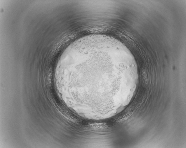 X0000060270499200511181423