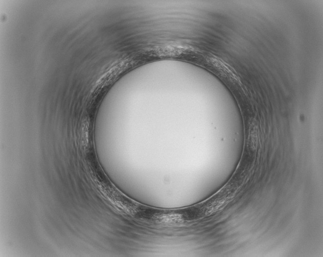 X0000060270501200511181423