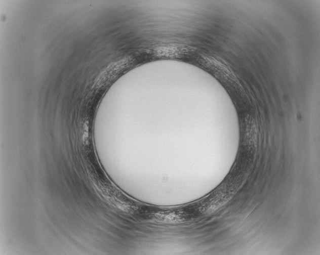 X0000060270502200511181423