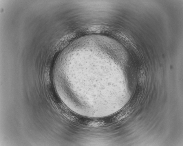 X0000060270504200511181423