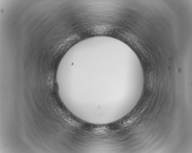 X0000060270505200511181423