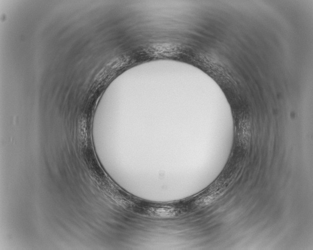 X0000060270506200511181423