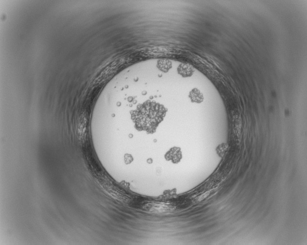 X0000060270507200511181423