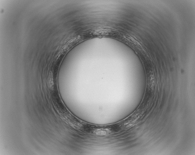 X0000060270508200511181423