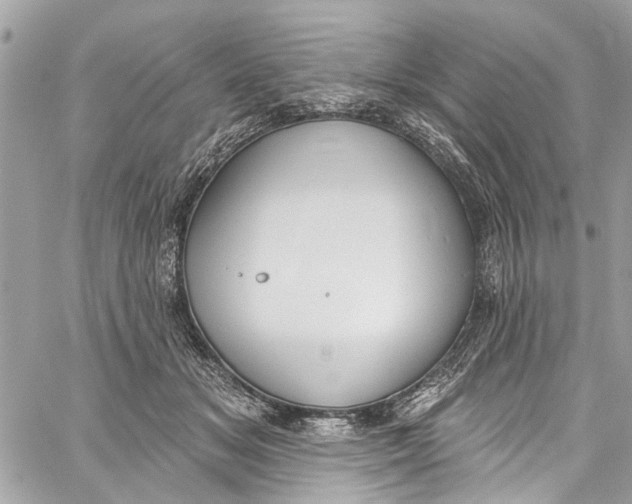 X0000060270509200511181423