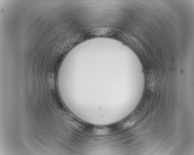 X0000060270510200511181423