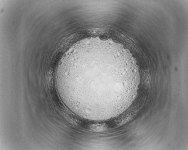 X0000060270511200511181423