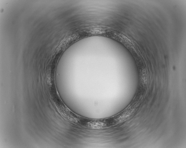 X0000060270512200511181423