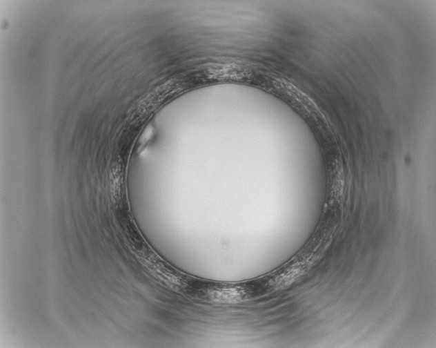 X0000060270513200511181423