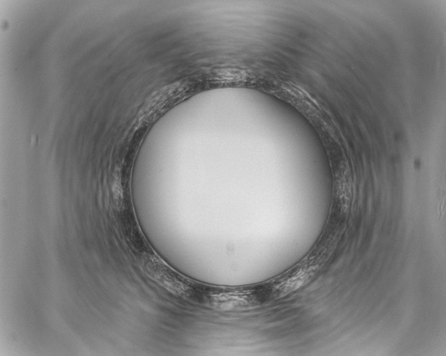 X0000060270516200511181423