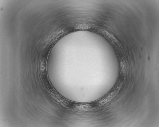 X0000060270517200511181423