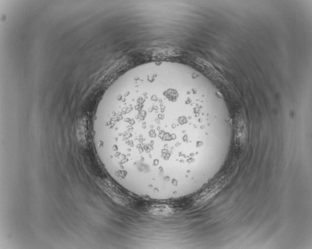 X0000060270519200511181423