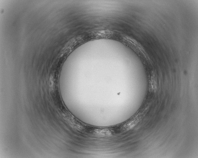 X0000060270520200511181423