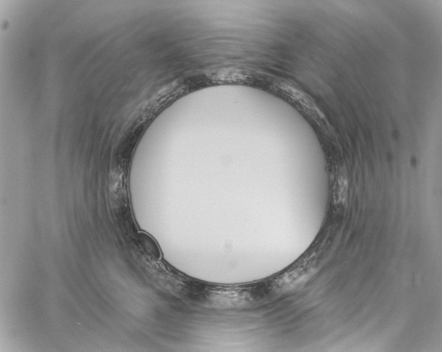 X0000060270521200511181423