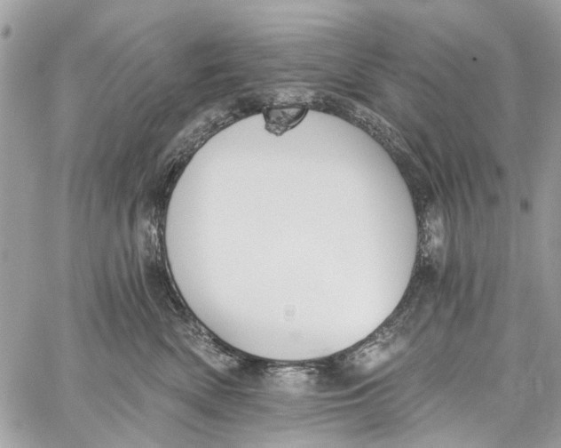 X0000060270522200511181423