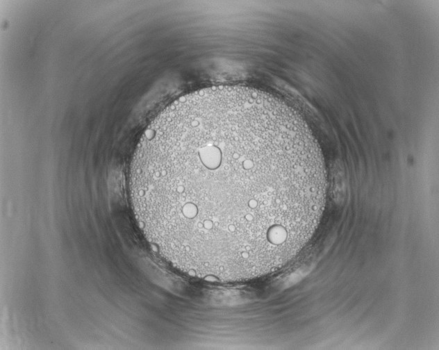 X0000060270523200511181422