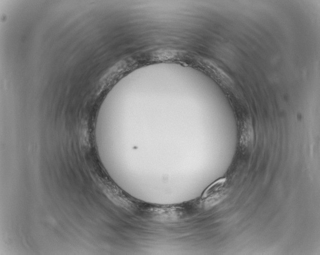 X0000060270524200511181422