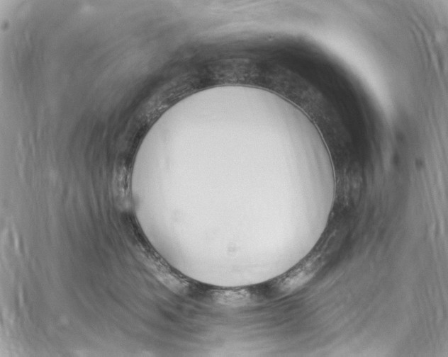 X0000060270525200511181422