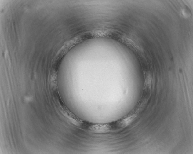 X0000060270526200511181422