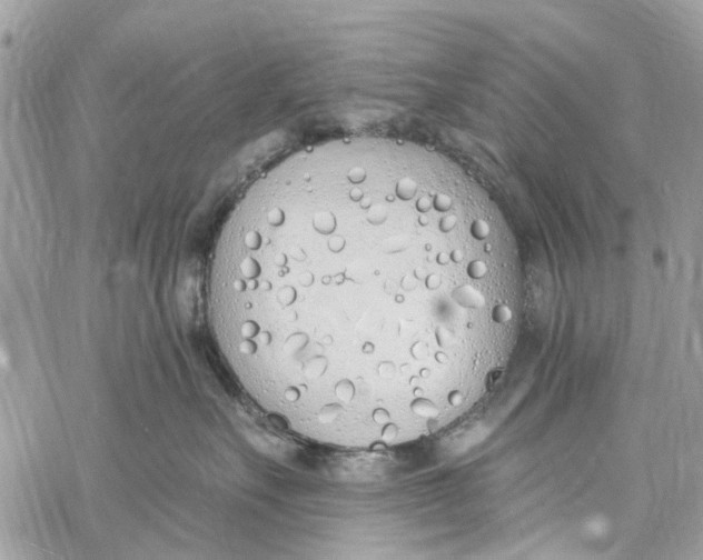 X0000060270527200511181422