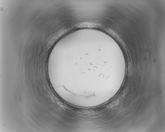 X0000060270529200511181422