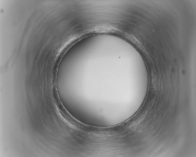 X0000060270530200511181422