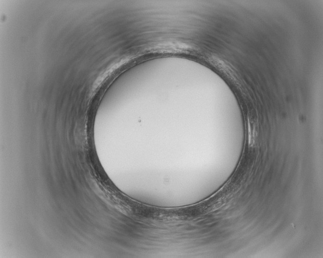 X0000060270531200511181422