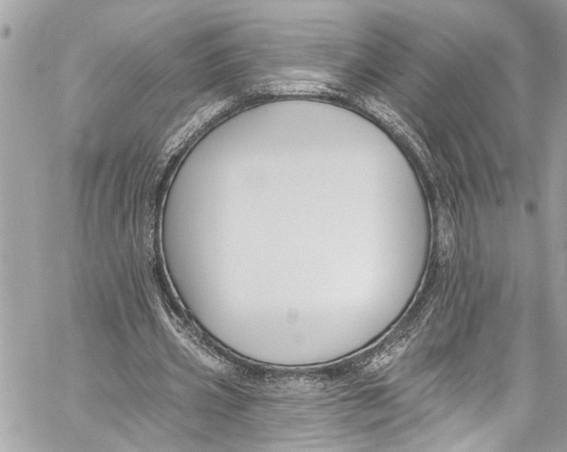 X0000060270533200511181422