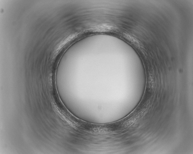 X0000060270535200511181422