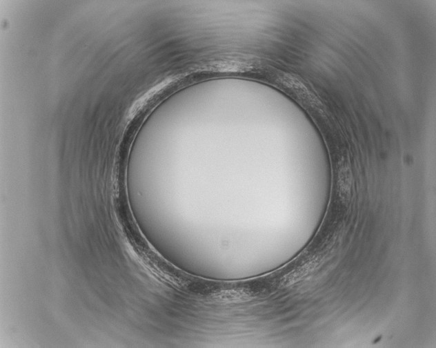 X0000060270536200511181422