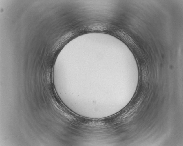 X0000060270537200511181422