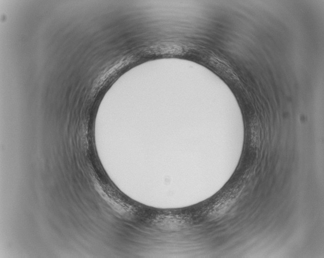 X0000060270538200511181422