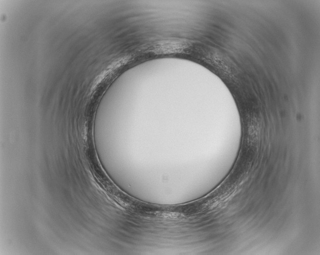 X0000060270539200511181422