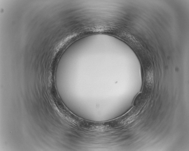 X0000060270540200511181422