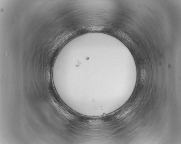 X0000060270541200511181422