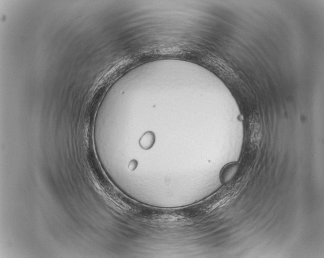 X0000060270542200511181422