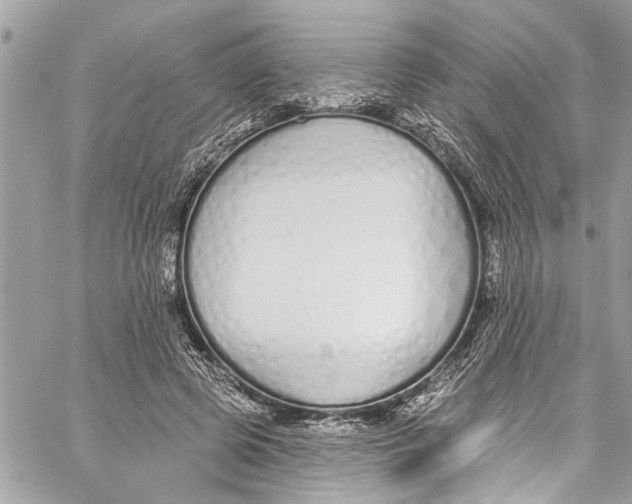 X0000060270545200511181422