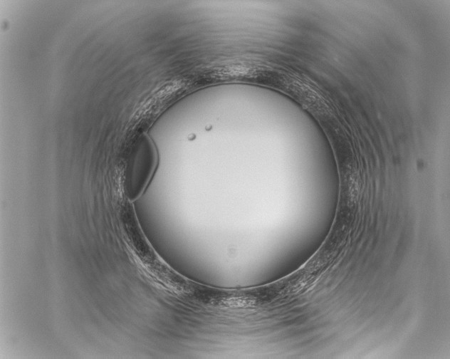 X0000060270546200511181422