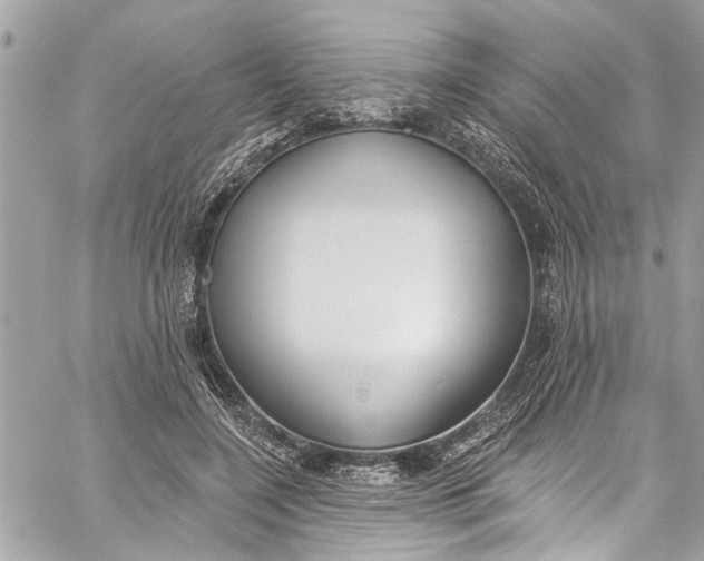 X0000060270548200511181422