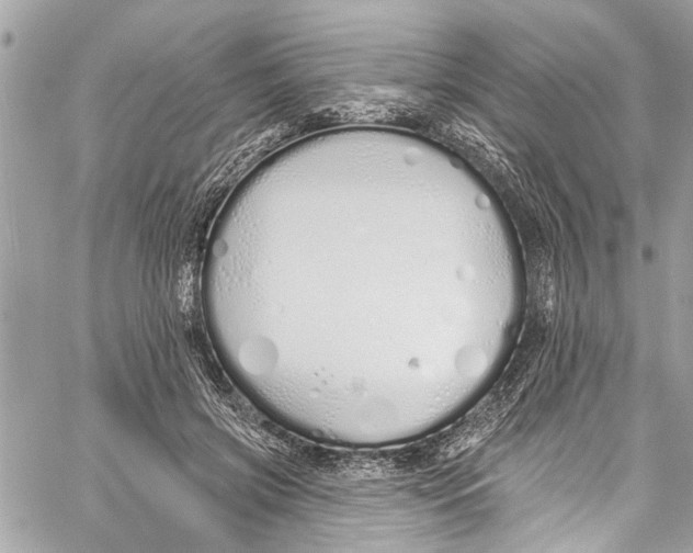 X0000060270549200511181422