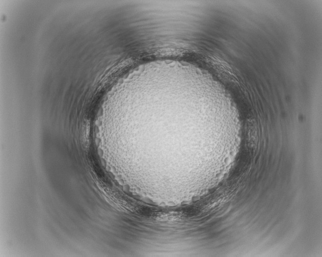 X0000060270550200511181422