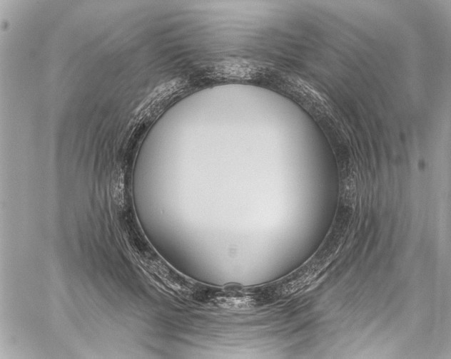 X0000060270552200511181422