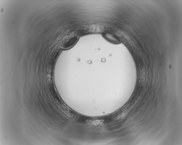 X0000060270553200511181422