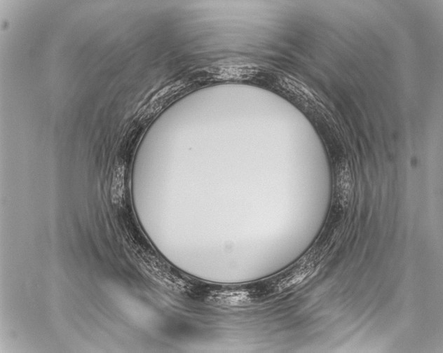 X0000060270554200511181422