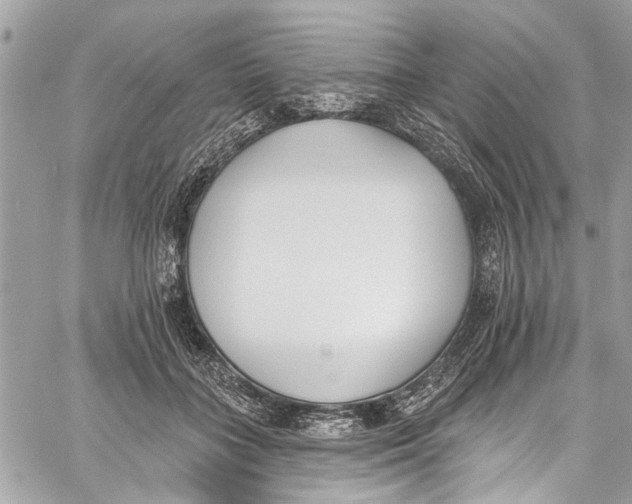 X0000060270555200511181422