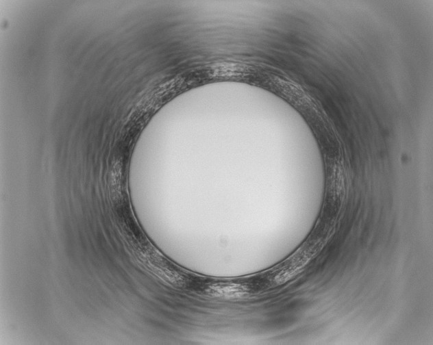 X0000060270557200511181422