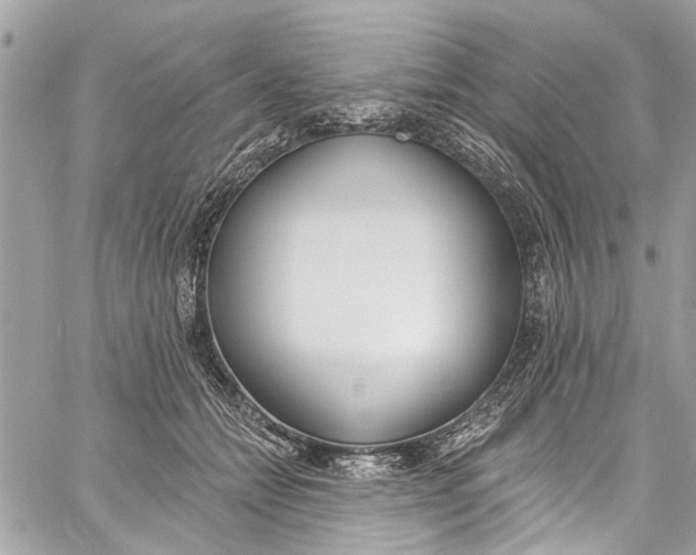 X0000060270558200511181422